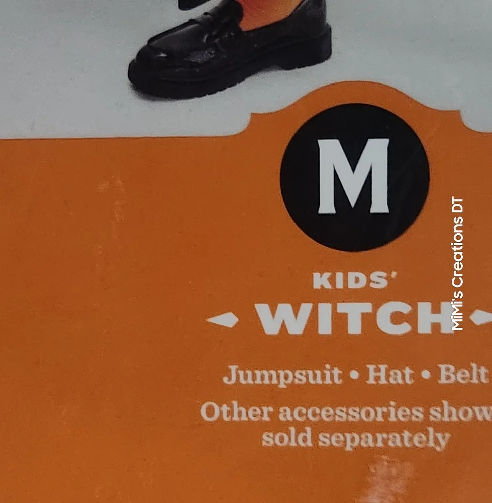 HYDE AND EEK Witch Costume New
